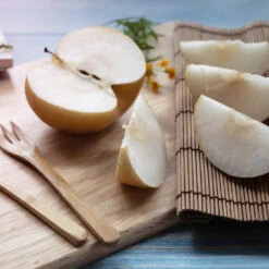 20th Century (Nijisseiki) Asian Pear 8 20th Century (Nijisseiki) Asian Pear -Fast-Growing-Trees Shop 20thCentury Pear 1 FGT