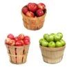3-in-1 Apple Tree -Fast-Growing-Trees Shop 3 in 1 Apple 600x600 9edf9e9a ce86 4b58 beb9 2946adf65064