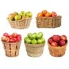 5-in-1 Apple Tree 2 5-in-1 Apple Tree -Fast-Growing-Trees Shop 5 in 1 Apple 600x600 7aa95aa9 ebc1 4f49 a1e8 94e9b1d7155c
