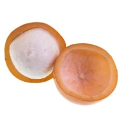 Achacha Fruit Tree -Fast-Growing-Trees Shop Achacha 2