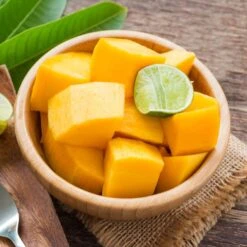 Alphonso Mango 13 Alphonso Mango -Fast-Growing-Trees Shop Alphonso Mango 2 FGT