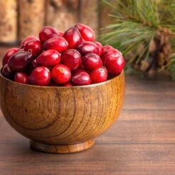 American Cranberry -Fast-Growing-Trees Shop American Cranberry 6 FGT