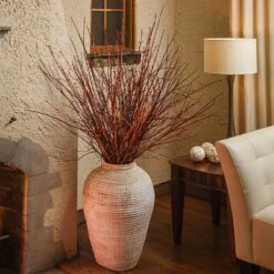 Arctic Fire® Red Twig Dogwood -Fast-Growing-Trees Shop Arctic Fire Twig Dogwood 6 FGT