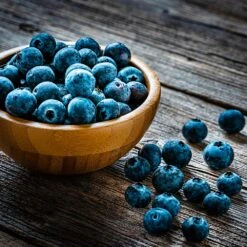 Aurora Blueberry Bush -Fast-Growing-Trees Shop Aurora Blueberry 4