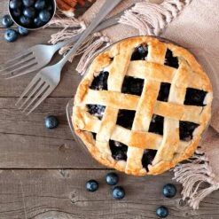 Aurora Blueberry Bush -Fast-Growing-Trees Shop Aurora Blueberry 5