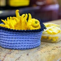 Buddha's Hand Citron -Fast-Growing-Trees Shop BUddhas Hand Citrus 6 FGT