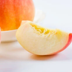 Belle Of Georgia Peach Tree (USDA Organic) -Fast-Growing-Trees Shop Belle of Georgia 3