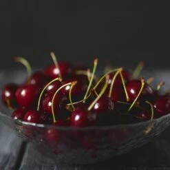 Black Tartarian Cherry Tree 10 Black Tartarian Cherry Tree -Fast-Growing-Trees Shop Black Tartarian Cherry Tree 2 FGT