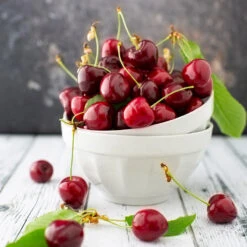 Brooks Cherry Tree -Fast-Growing-Trees Shop Brooks Cherry Tree 5 FGT