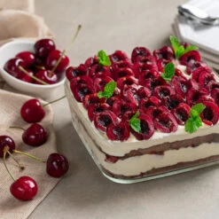 Brooks Cherry Tree -Fast-Growing-Trees Shop Brooks Cherry Tree 6 FGT