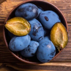 Brooks Plum Tree -Fast-Growing-Trees Shop Brooks Plum 2