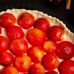 Bubblegum 'Toka' Plum Tree 11 Bubblegum 'Toka' Plum Tree -Fast-Growing-Trees Shop Bubblegum Toka Plum 3