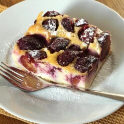 Burgundy Plum Tree -Fast-Growing-Trees Shop Burgundy Plum 3