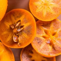 Chocolate Persimmon Tree -Fast-Growing-Trees Shop CHocolate Persimmon 2