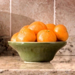 Calamondin Bush -Fast-Growing-Trees Shop Calamondin Bush 4