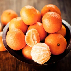 California Honey Mandarin Tree 10 California Honey Mandarin Tree -Fast-Growing-Trees Shop California Mandarin 5