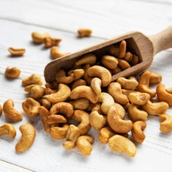 Cashew Tree 12 Cashew Tree -Fast-Growing-Trees Shop Cashew Nut Tree 5