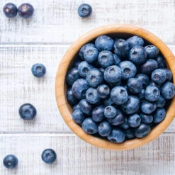 Climax Blueberry -Fast-Growing-Trees Shop Climax Blueberry 4