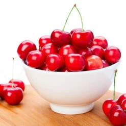 Coral Champagne Cherry Tree -Fast-Growing-Trees Shop Coral Champagne Cherry Tree 4 FGT