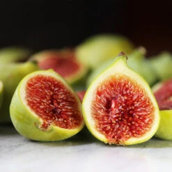 Desert King Fig Tree 9 Desert King Fig Tree -Fast-Growing-Trees Shop DEsert King FIg 3