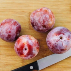 Dapple Dandy Pluot Tree -Fast-Growing-Trees Shop Dapple Dandy 2