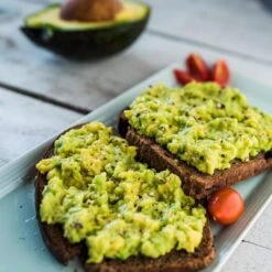 Condo™ Avocado Tree -Fast-Growing-Trees Shop Day Condo Avocado 2