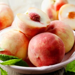 Early White Giant Peach Tree -Fast-Growing-Trees Shop Early White Giant Peach Tree 450 D1