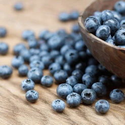 Emerald Blueberry Bush 7 Emerald Blueberry Bush -Fast-Growing-Trees Shop Emerald Blueberries 1