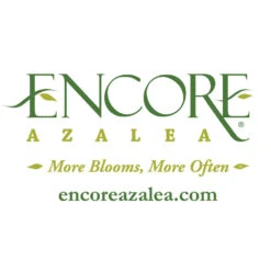Autumn Belle® Encore® Azalea Shrub 13 Autumn Belle® Encore® Azalea Shrub -Fast-Growing-Trees Shop Encore Logo 1000x1000 f5ab977c d52a 42c7 bcc7 eb2c9ea0b488