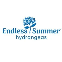 Endless Summer® BloomStruck® Hydrangea Shrub -Fast-Growing-Trees Shop Endless Summer Hydrangeas 1000x1000 a41a2edd 37e9 417f a232 324a434bc39f