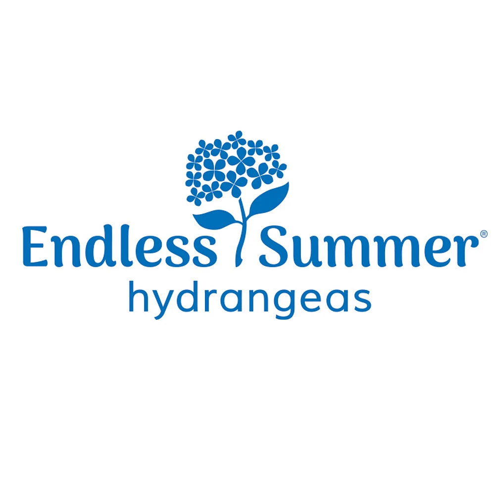 Endless Summer® Hydrangea Shrub 8 Endless Summer® Hydrangea Shrub - Image 6
