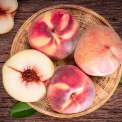 Indian Free White Peach Tree -Fast-Growing-Trees Shop Indian Free Peach 3 FGT