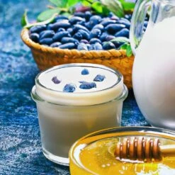 Indigo Gem Haskap (Honeyberry) -Fast-Growing-Trees Shop Indigo GEm Haskap 1