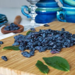 Indigo Treat Haskap (Honeyberry) -Fast-Growing-Trees Shop Indigo Treat Hascap 2 BB