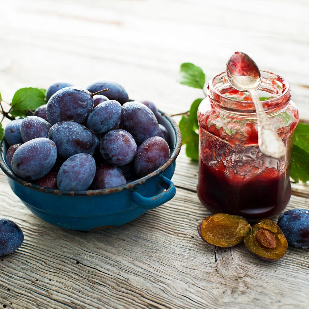 Italian Plum Tree 7 Italian Plum Tree - Image 5