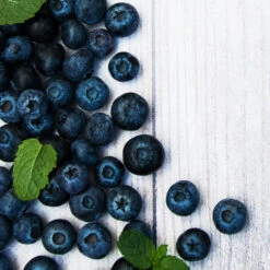 Jewel Blueberry Bush -Fast-Growing-Trees Shop Jewel Blueberry 2