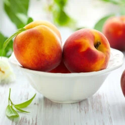 June Gold Peach Tree -Fast-Growing-Trees Shop June Gold peaches 4