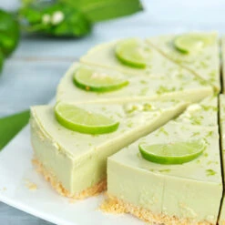 Key Lime Bush -Fast-Growing-Trees Shop Key Lime Bush 1 FGT