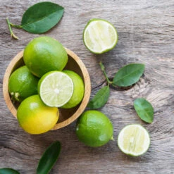 Key Lime Bush -Fast-Growing-Trees Shop Key Lime Bush 3 FGT