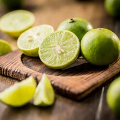 Key Lime Tree - USDA Organic -Fast-Growing-Trees Shop Key Lime Tree 5 FGT da9b0536 ead5 46ca b8b5 d82cfb777942