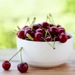 Lapins Cherry Tree -Fast-Growing-Trees Shop Lapins Cherry Tree 2 FGT 325a18e6 7143 4729 a41b b0d9614909b8