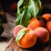 Multi-Peach Tree -Fast-Growing-Trees Shop Multi fruit peach 600x600 1bde10f6 0ebc 442c a3d4 35c7cd83288d