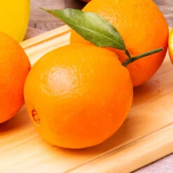 Navel Orange Tree - USDA Organic 11 Navel Orange Tree - USDA Organic -Fast-Growing-Trees Shop Navel Orange 2 FGT 14629529 59ec 469f 9eb9 2f95d6d1513b