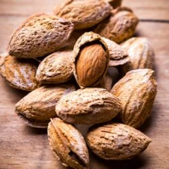 Nonpareil Almond Tree -Fast-Growing-Trees Shop Nonpareil Almonds 3