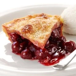 North Star Cherry -Fast-Growing-Trees Shop North Star Cherry 2 FGT