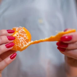 Nules Clementine Bush -Fast-Growing-Trees Shop Nules Clementine 3 FGT 8b9abee7 a321 49f5 98c0 01db9061b5ac