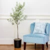 Oliana Olive Tree -Fast-Growing-Trees Shop Oliana Olive 600x600 6f3a3c9f e168 44ff aa92 eb7e474a89dc