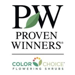 Bobo® Hydrangea Shrub -Fast-Growing-Trees Shop PW Logo CC 1000x1000 55dac6d7 bd17 4a95 bca3 c243520b7d2c