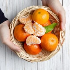 Page Mandarin Tree 9 Page Mandarin Tree -Fast-Growing-Trees Shop Page Mandarin Tree 2 FGT