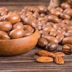 Pawnee Pecan Tree 9 Pawnee Pecan Tree -Fast-Growing-Trees Shop Pawnee Pecan 4 FGT